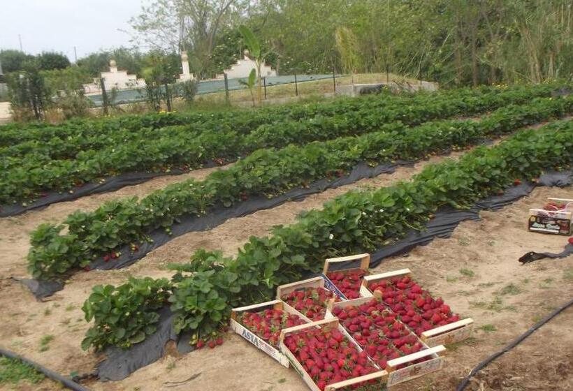בית מלון כפרי Agriturismo Pinturicchio