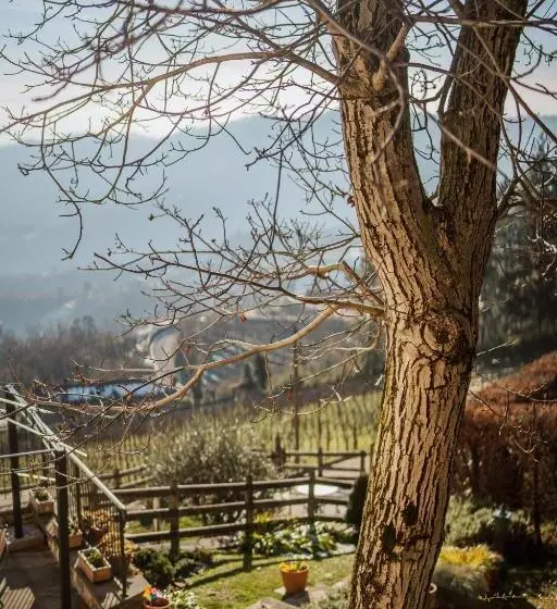 ホテル Polisena L Altro Agriturismo Veg