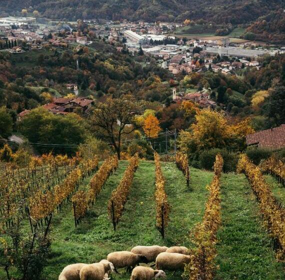 בית מלון כפרי Polisena L Altro Agriturismo Veg