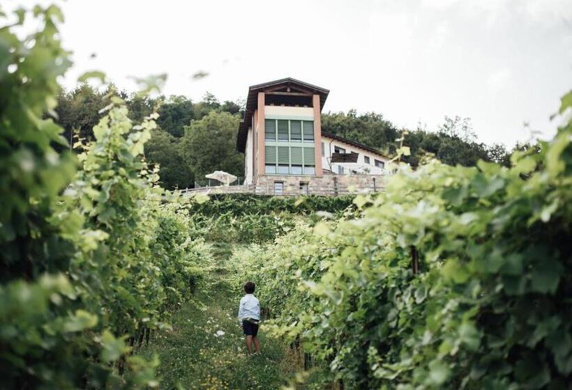 בית מלון כפרי Polisena L Altro Agriturismo Veg
