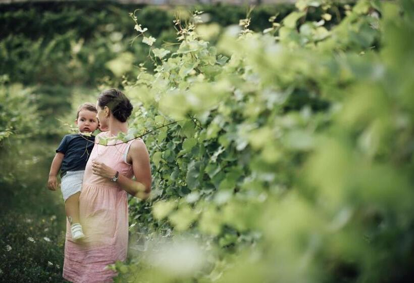 בית מלון כפרי Polisena L Altro Agriturismo Veg