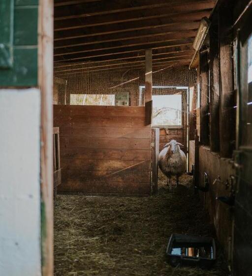 בית מלון כפרי Polisena L Altro Agriturismo Veg
