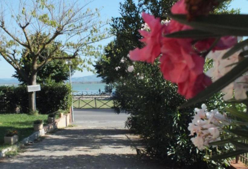 Pensjonat Affittacamere Le Petit Palais