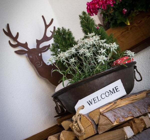 פנסיון Monti Pallidi B&b Apartments