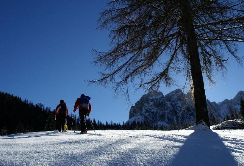 פנסיון Monti Pallidi B&b Apartments