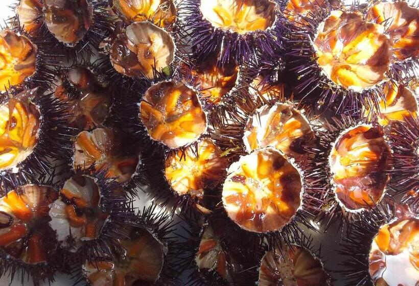 Majatalo Regina Isabella Rooms