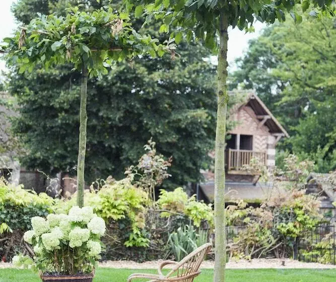 Hotel Hôtel Restaurant Bel Ami