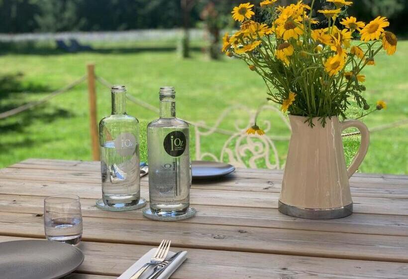 酒店 Domaine De La Briandais, A Place Of Electromagnetic Sobriety