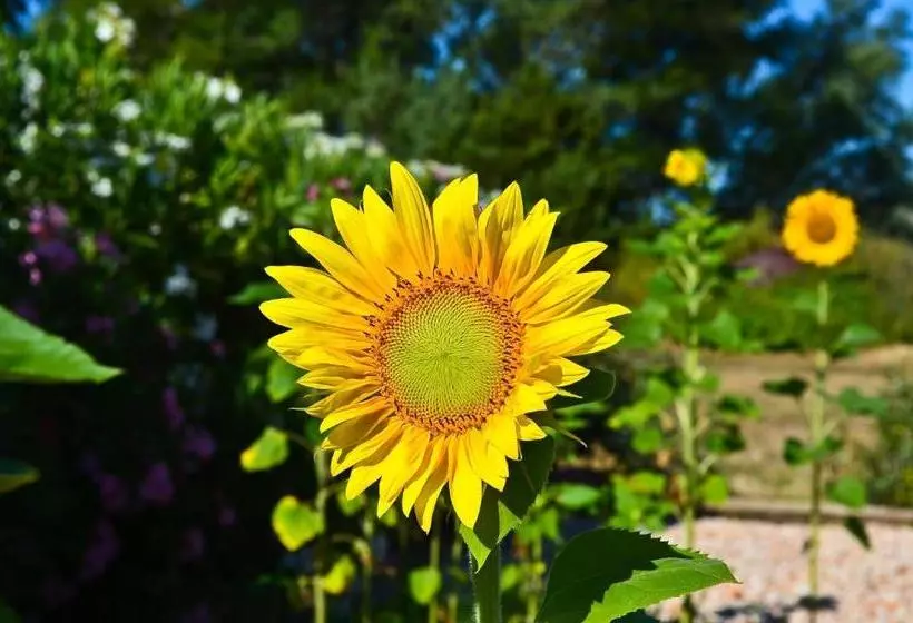 Majatalo Bastide De Mazan