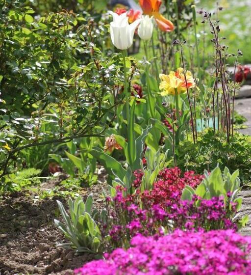 膳宿费 La Maison Des Chats