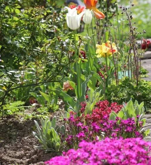 ペンション La Maison Des Chats