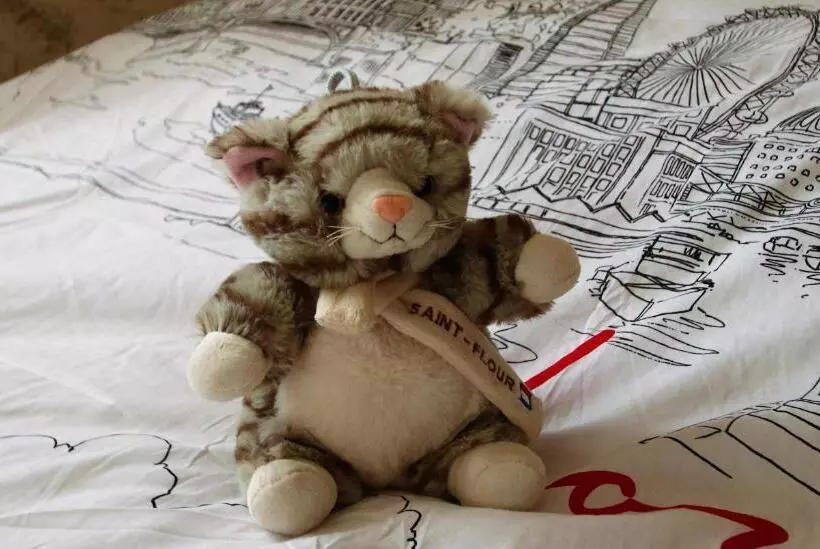 ペンション La Maison Des Chats