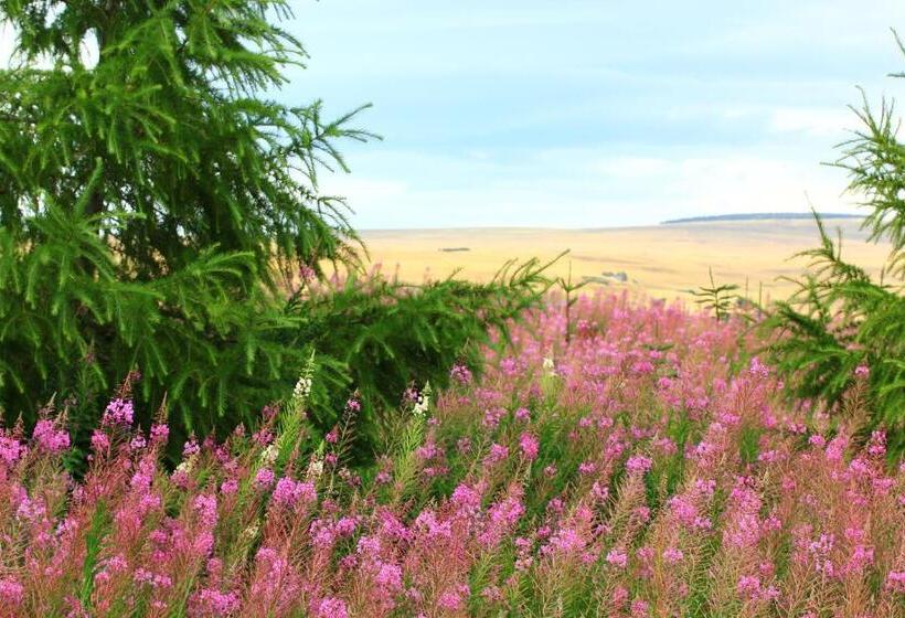 膳宿费 La Maison Des Chats