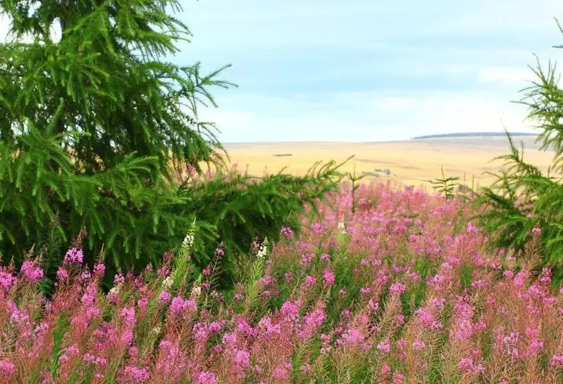 ペンション La Maison Des Chats