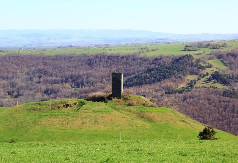 膳宿费 La Maison Des Chats