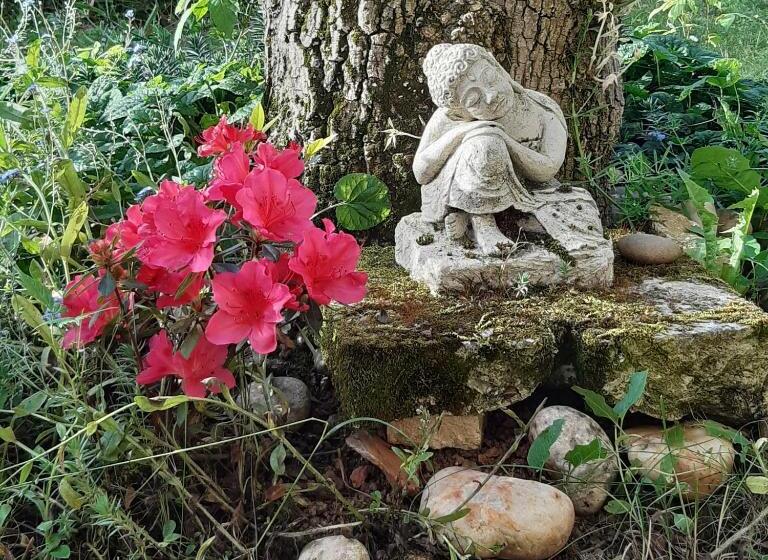 膳宿费 Le Clos De La Salamandre