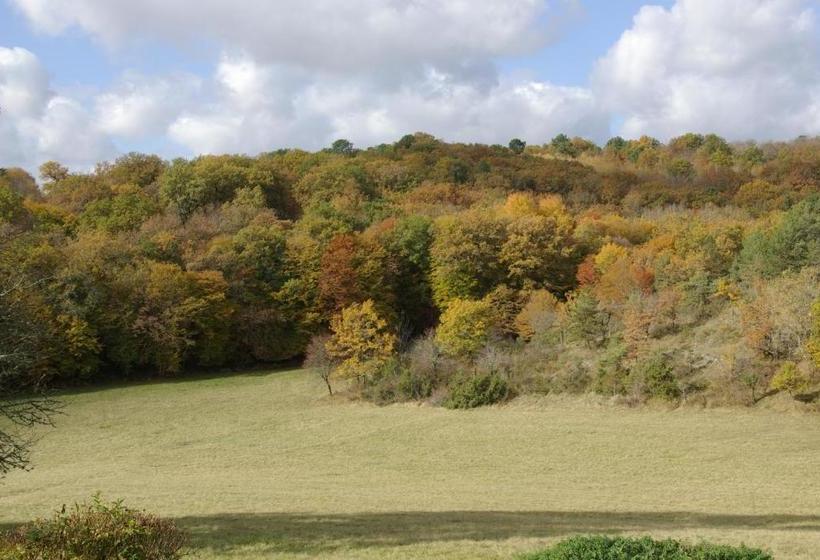 פנסיון Péchalvet