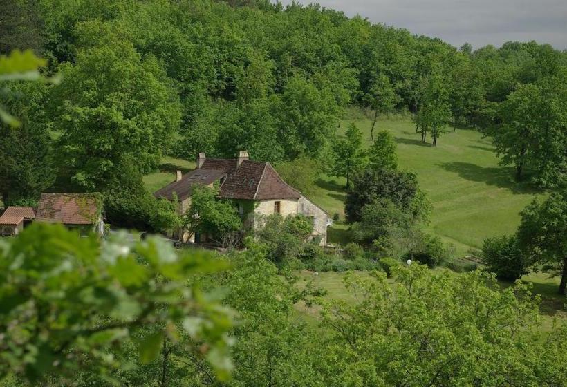 פנסיון Péchalvet