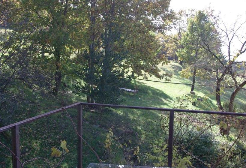 פנסיון Péchalvet