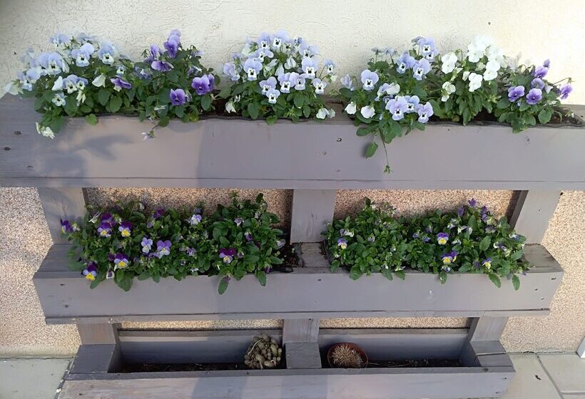 Пансион Chez Colombine