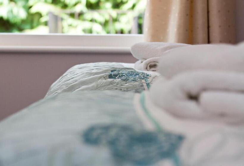 호스텔 The Half Moon