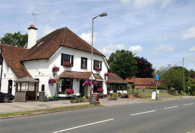 호스텔 The Half Moon