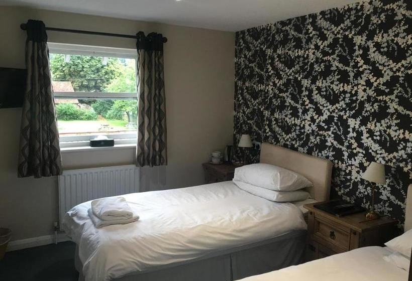 호스텔 The Half Moon