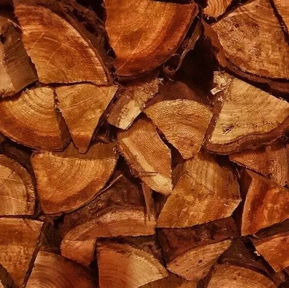 ユースホステル Jacobs Ladder Inn