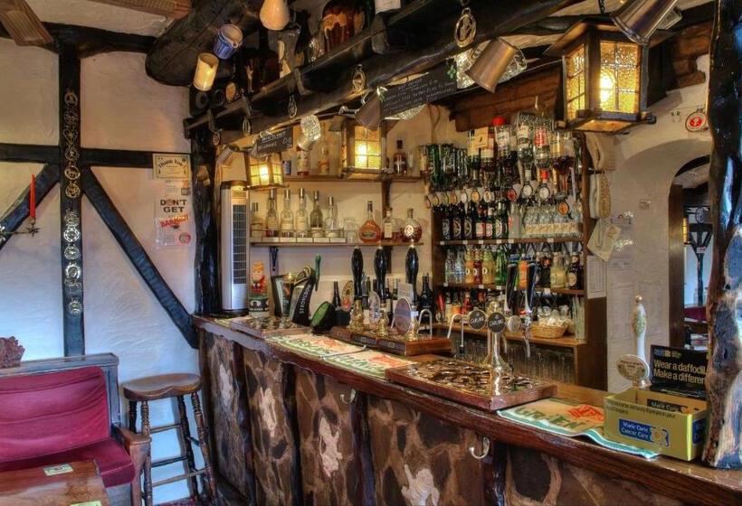 הוסטל The Old White Lion