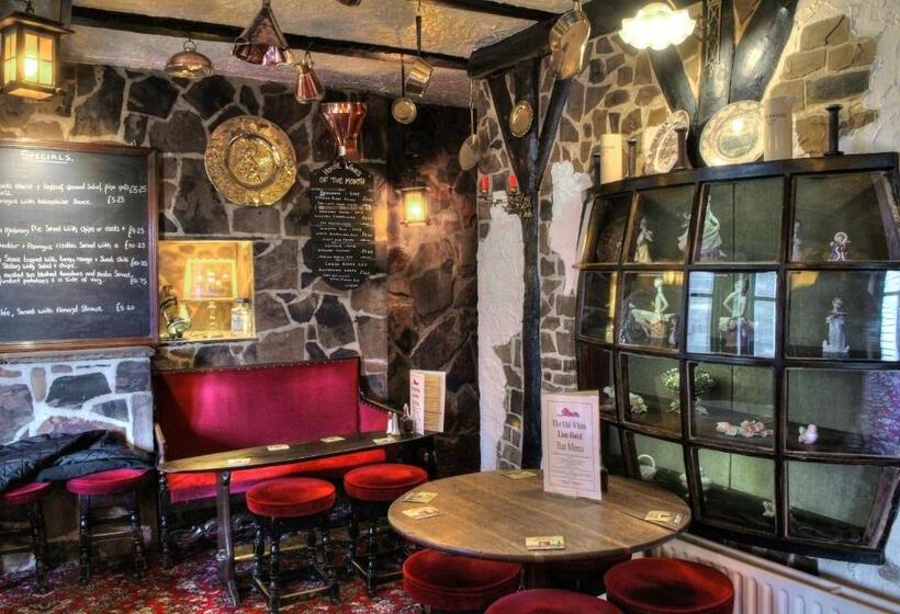 הוסטל The Old White Lion