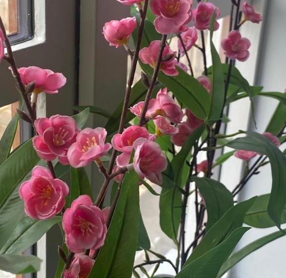 호스텔 The White Hart Apartment Valley View