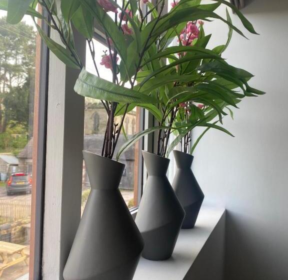 Общежитие The White Hart Apartment Valley View