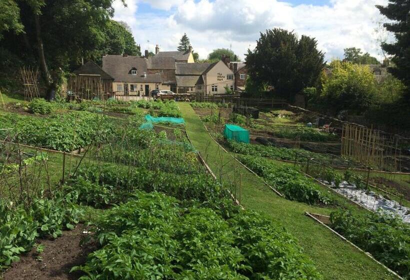 Общежитие The White Hart Apartment Valley View