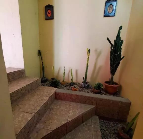 هتل Pool House Hostel