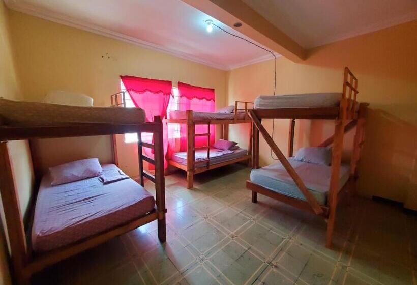 هتل Pool House Hostel