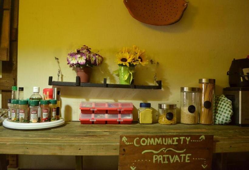 هتل Pool House Hostel