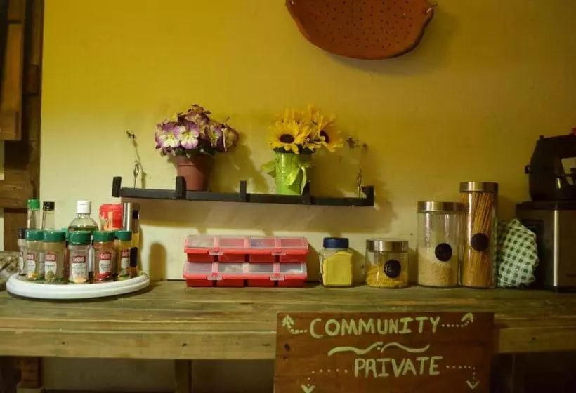 هتل Pool House Hostel