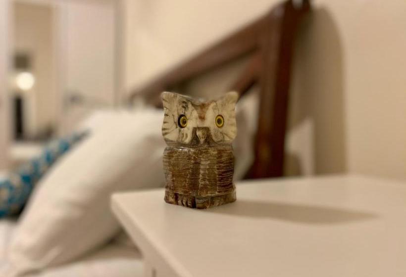 פנסיון Parkstone Guest House