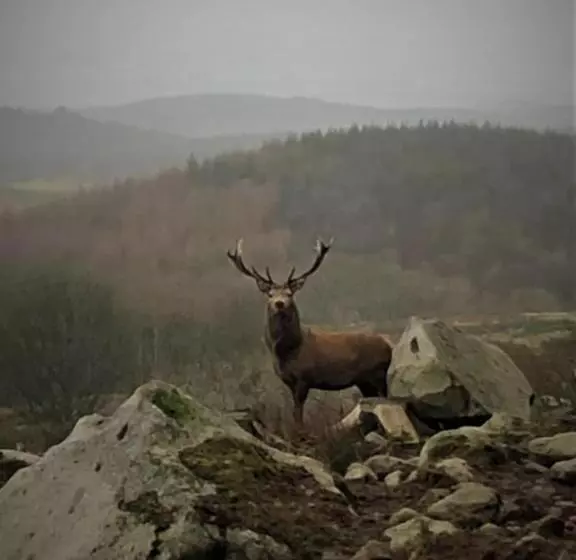 Majatalo Southpark House