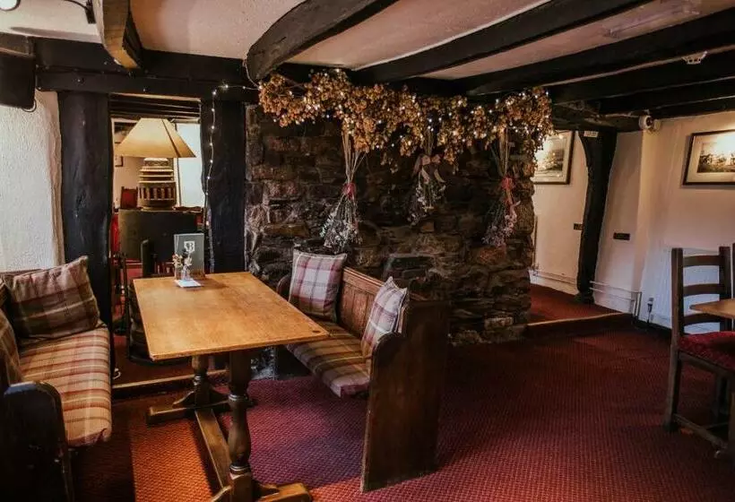 Alberg Bearslake Inn