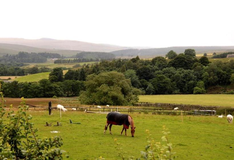 فندق صغير Hollybush Inn