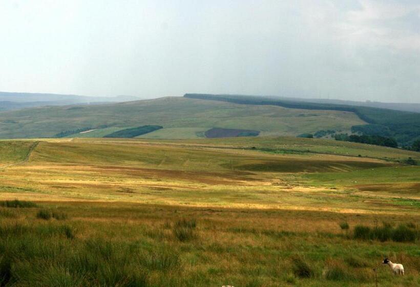 فندق صغير Hollybush Inn