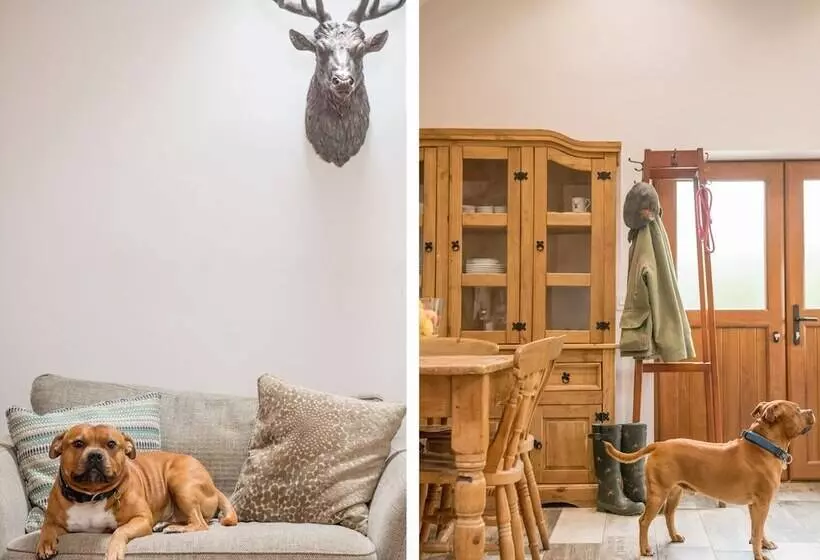 Retkeilymaja The Haughmond