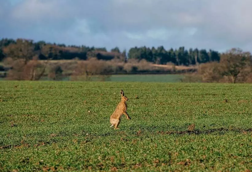 Retkeilymaja The Haughmond