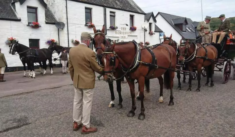 ユースホステル The Horseshoe Inn