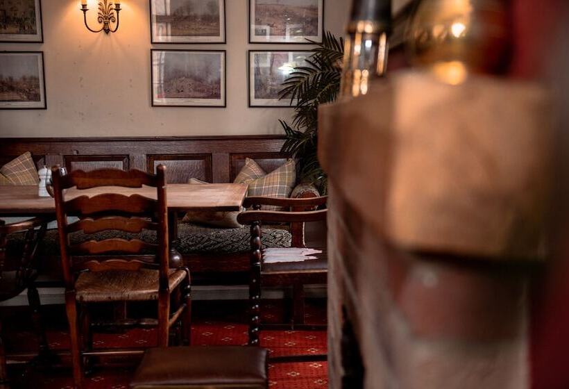 هاستل The Wellington Heifer