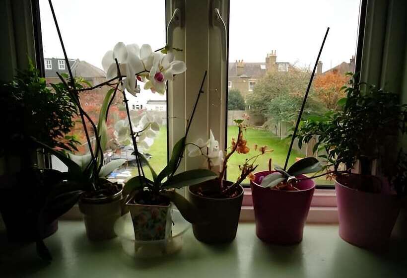 펜션 Aron Guest House