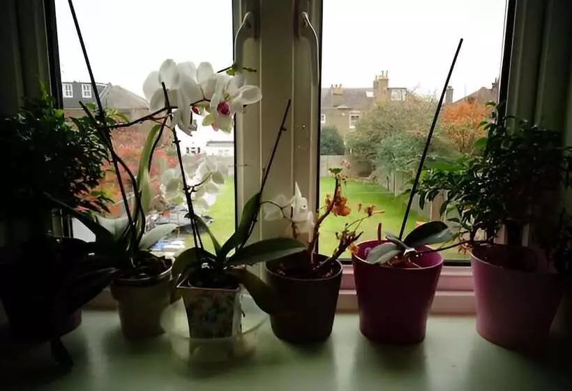 Majatalo Aron Guest House