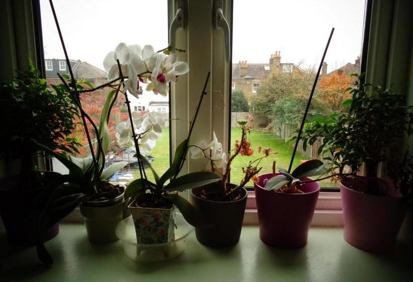 펜션 Aron Guest House