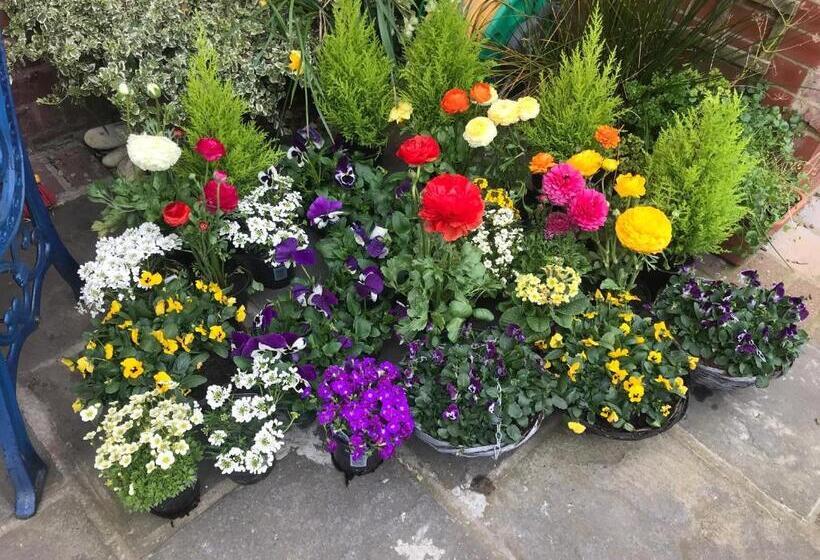 膳宿费 Doriam Guest House